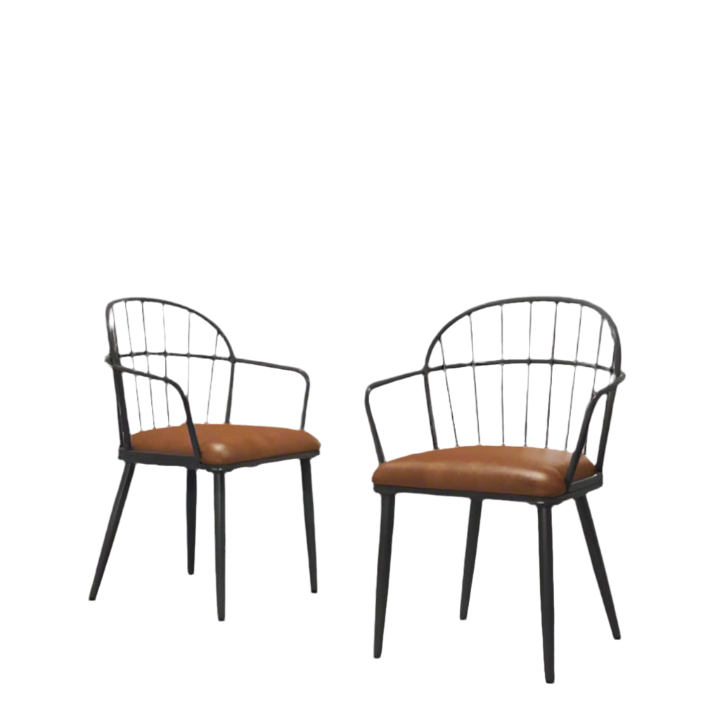 The Cavallo Series x2